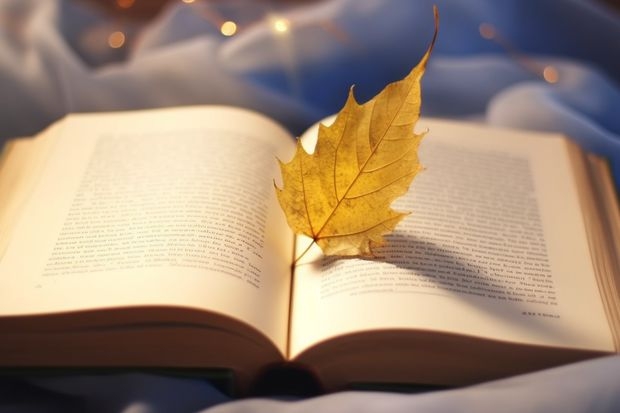 贵阳幼儿师范高等专科学校（中职部）开设专业每个专业招多少人