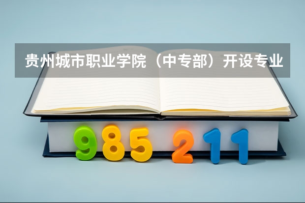 贵州城市职业学院（中专部）开设专业每个专业招多少人
