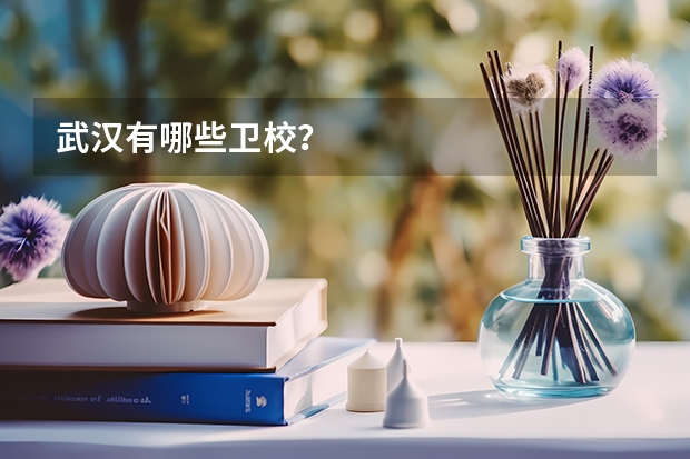 武汉有哪些卫校？