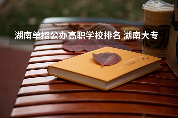 湖南单招公办高职学校排名 湖南大专单招学校排名
