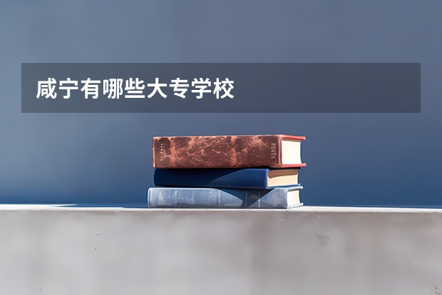 咸宁有哪些大专学校