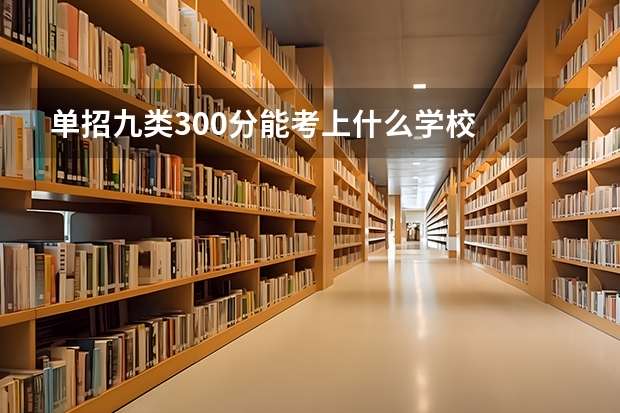 单招九类300分能考上什么学校