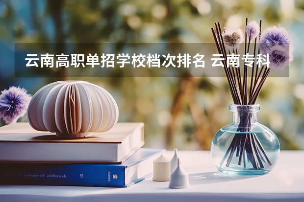 云南高职单招学校档次排名 云南专科排名前十的大学