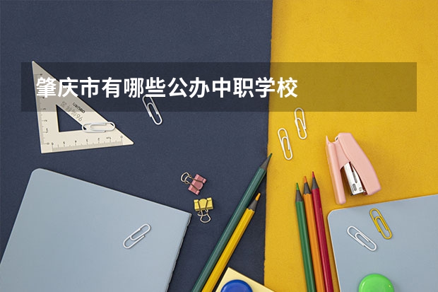 肇庆市有哪些公办中职学校