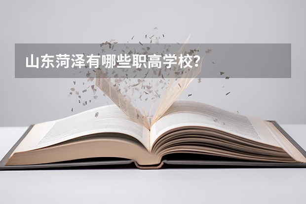 山东菏泽有哪些职高学校？
