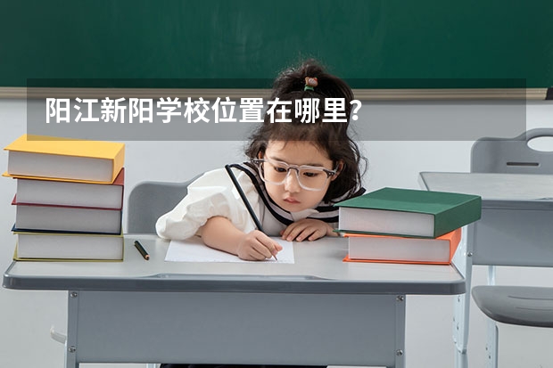 阳江新阳学校位置在哪里？