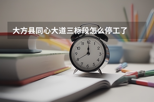 大方县同心大道三标段怎么停工了