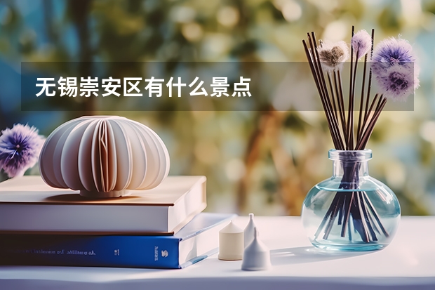 无锡崇安区有什么景点