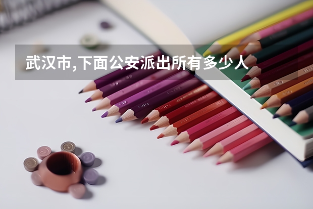 武汉市,下面公安派出所有多少人