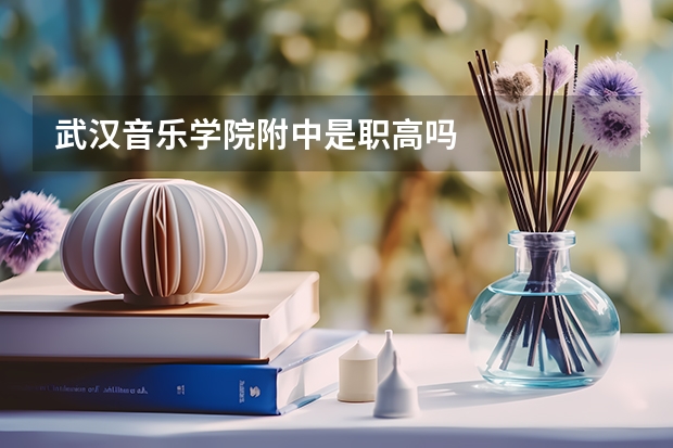 武汉音乐学院附中是职高吗