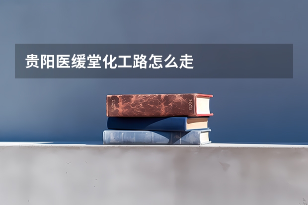 贵阳医缓堂化工路怎么走