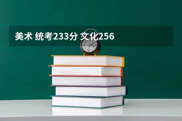 美术 统考233分 文化256  在南京能上什么学校