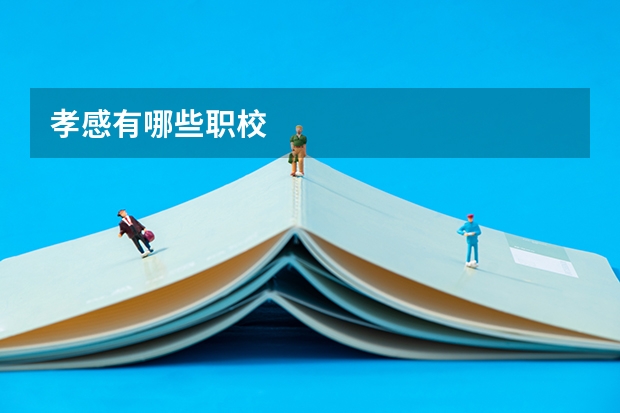 孝感有哪些职校