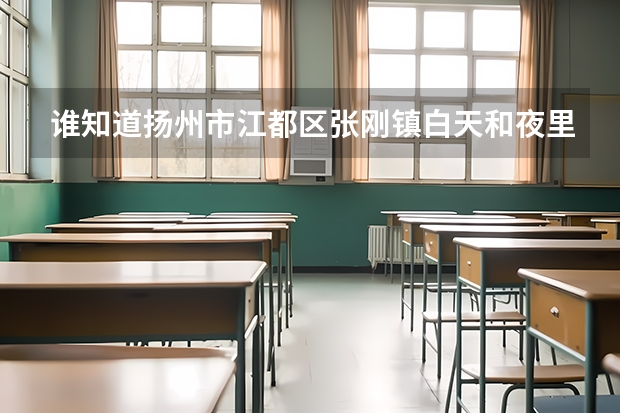 谁知道扬州市江都区张刚镇白天和夜里的电分时计数吗