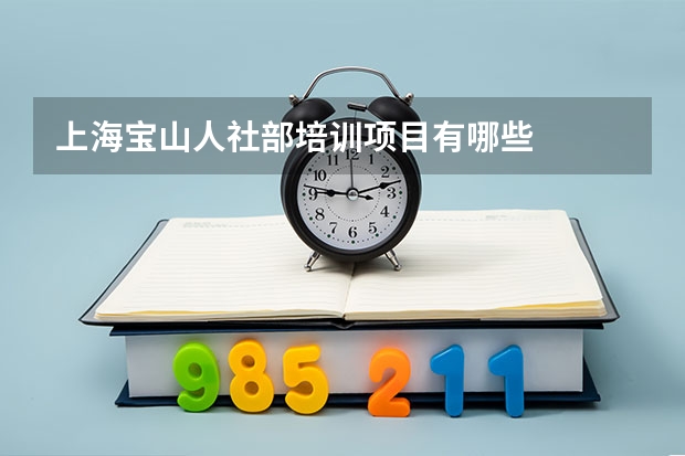 上海宝山人社部培训项目有哪些