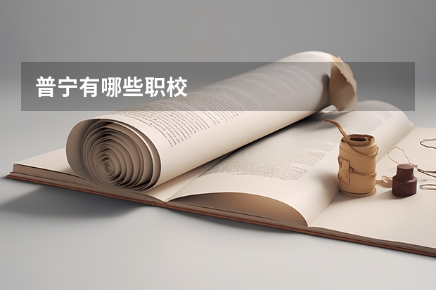 普宁有哪些职校