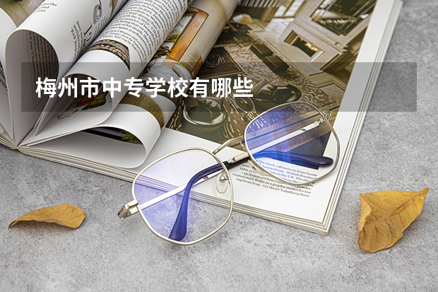 梅州市中专学校有哪些