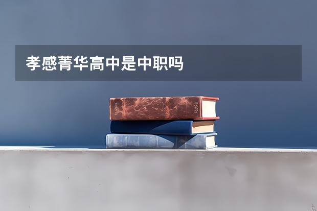 孝感菁华高中是中职吗