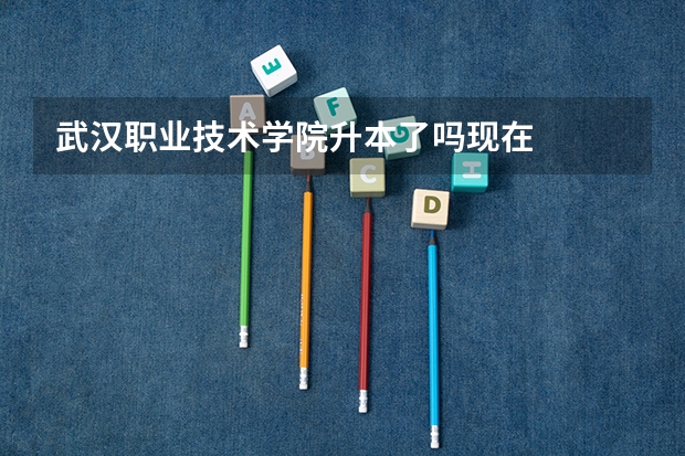 武汉职业技术学院升本了吗现在