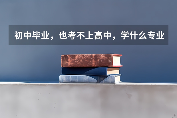 初中毕业，也考不上高中，学什么专业有前途一些