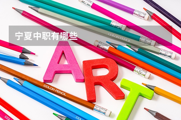 宁夏中职有哪些