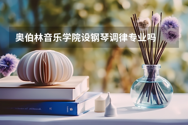奥伯林音乐学院设钢琴调律专业吗