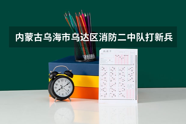 内蒙古乌海市乌达区消防二中队打新兵事件调查结果如何？