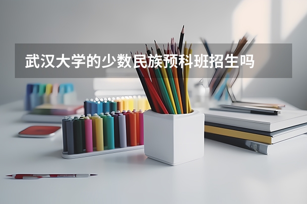 武汉大学的少数民族预科班招生吗