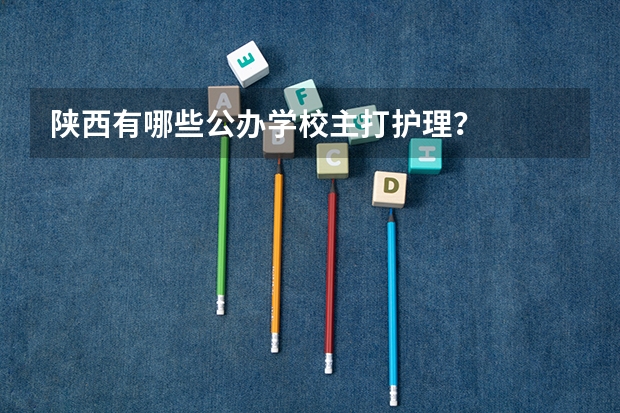 陕西有哪些公办学校主打护理？