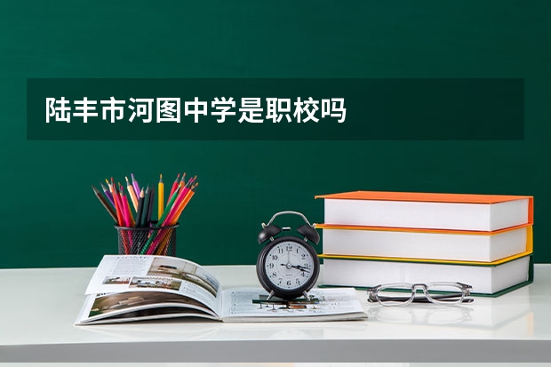 陆丰市河图中学是职校吗