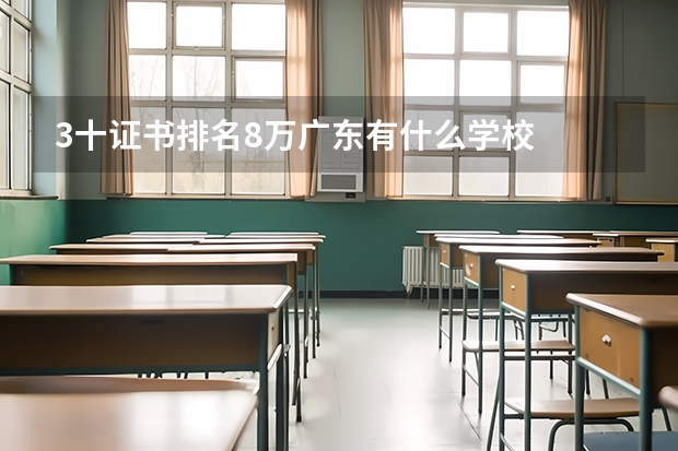 3十证书排名8万广东有什么学校