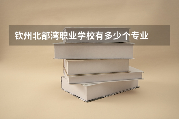 钦州北部湾职业学校有多少个专业