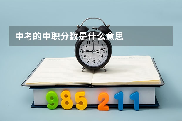 中考的中职分数是什么意思