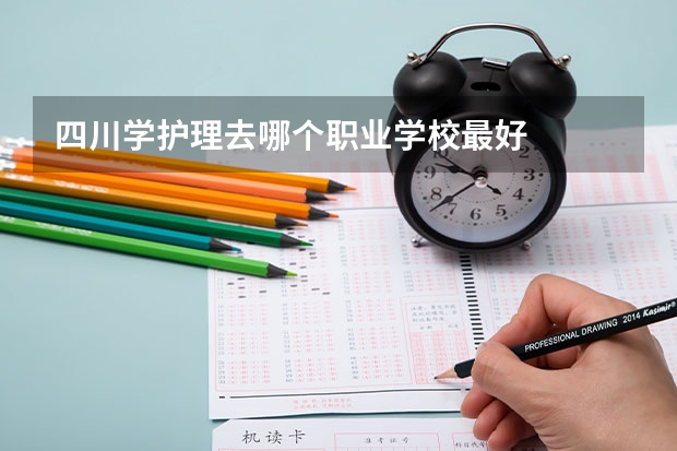 四川学护理去哪个职业学校最好