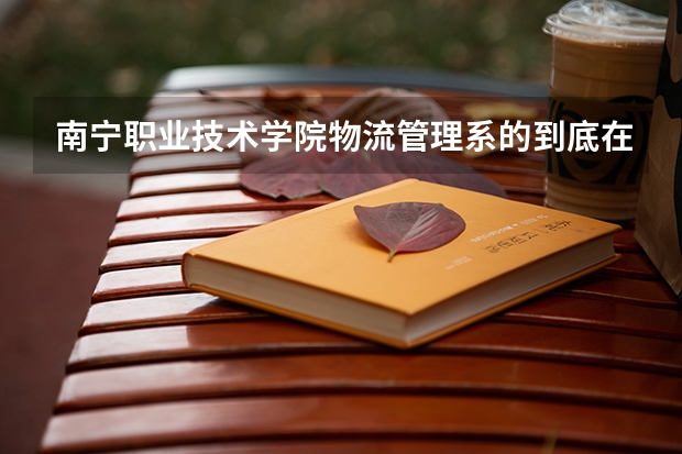 南宁职业技术学院物流管理系的到底在哪个校区？？