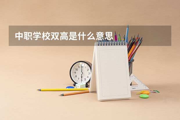 中职学校双高是什么意思